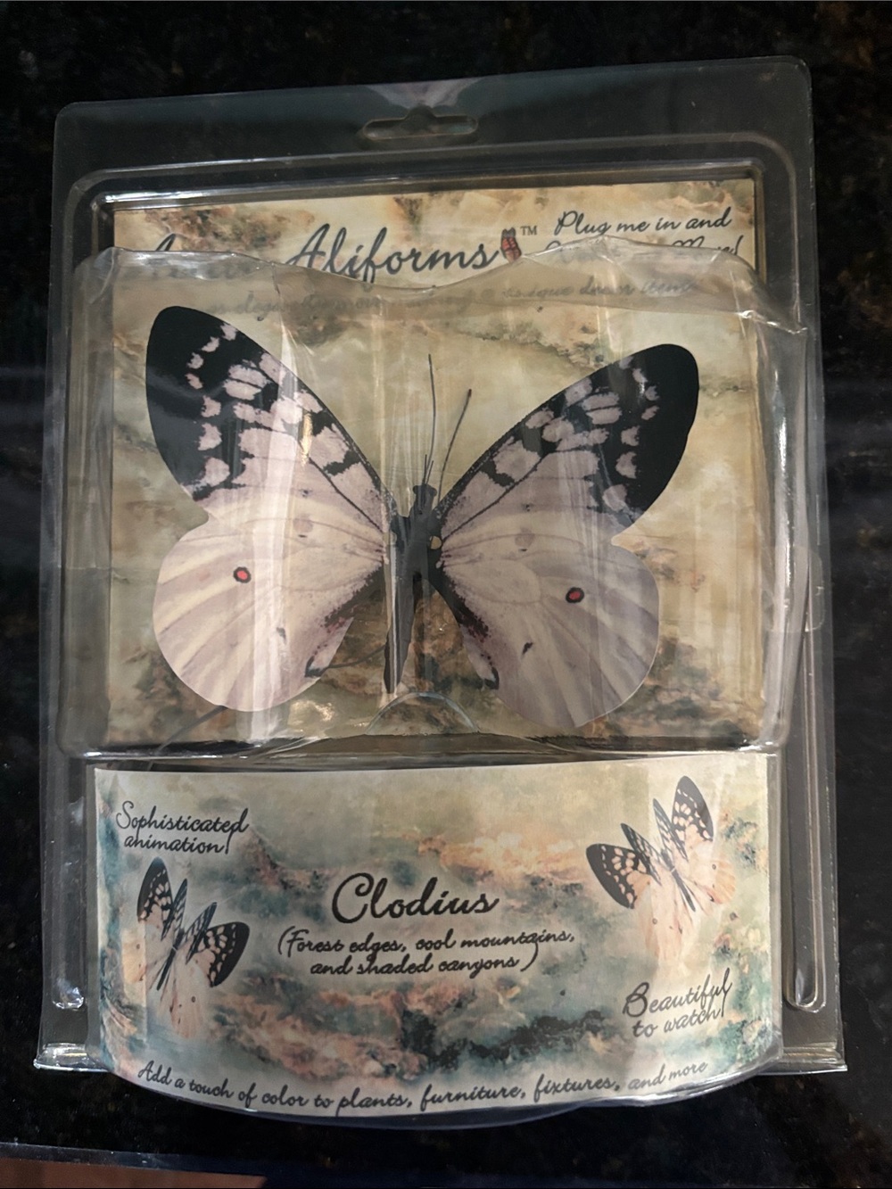 Clodius Butterfly Wall Accent in Cream and Black